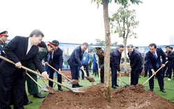 Tổng Bí thư Tô Lâm dự Lễ phát động “Tết trồng cây đời đời nhớ ơn Bác Hồ”