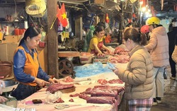 Thị trường Tết Bính Ngọ ổn định, không xảy ra khan hàng, sốt giá