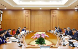 Ban Bí thư: Tuyệt đối không để tình trạng du Xuân kéo dài ảnh hưởng đến nhiệm vụ