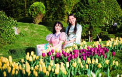 Du lịch Tết Bính Ngọ 2026: Những kỷ lục vô tiền khoáng hậu và những con số ấn tượng