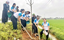 Hội LHPN Hà Tĩnh: Sắc xanh lan tỏa từ những công trình đầu xuân