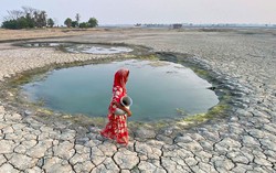 Liên hợp quốc kêu gọi tuần hành vì quyền lợi và công lý cho phụ nữ