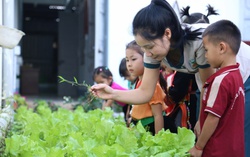 Nhân viên trường học chịu áp lực lớn, phụ cấp thấp