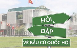 Cử tri là người di cư tự do, chưa đăng ký thường trú hoặc tạm trú tham gia bầu cử thế nào?