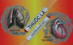 Thuốc lá khiến hơn 100.000 người Việt tử vong mỗi năm, gấp hơn 10 lần tai nạn giao thông
