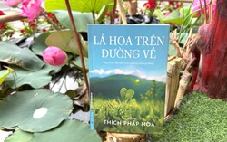 Gỡ rối đời sống bằng tinh thần Phật pháp