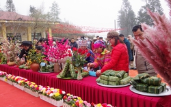 Xuân ấm nơi địa đầu Tổ quốc