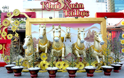 TPHCM: Phố ông đồ và Đường mai rực rỡ đón xuân Bính Ngọ