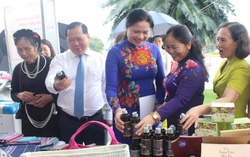 Ủy ban MTTQ Việt Nam tỉnh Phú Thọ tạo điểm tựa cho kinh tế tập thể bứt phá