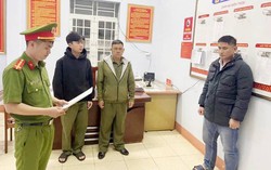 Khởi tố giám đốc sản xuất lúa giống ST25 giả bán ra nhiều tỉnh, thành