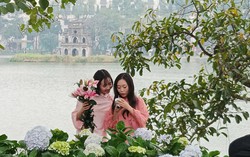 Sắc xuân riêng của Hà Nội trước thềm năm mới