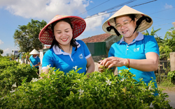 Hội LHPN Việt Nam được giao chủ trì, hướng dẫn nhiều nội dung Chương trình xây dựng nông thôn mới, giảm nghèo bền vững và phát triển kinh tế - xã hội vùng DTTS&MN