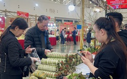 Kích cầu tiêu dùng Tết tại Hội chợ Mùa Xuân lần thứ nhất