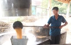 Ngày đêm đỏ lửa ở “thủ phủ” mật mía xứ Nghệ trước Tết