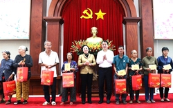 Phó Thủ tướng Phạm Thị Thanh Trà thăm, tặng quà Tết gia đình chính sách, công nhân khó khăn tại Đồng Tháp