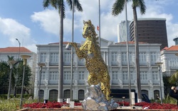 Cận cảnh linh vật ngựa được ghép từ tên của 94 xã, phường ở Đà Nẵng