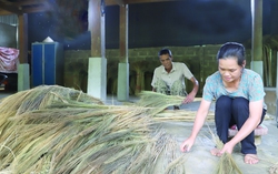 Cặp đôi hơn 20 năm làm chổi chít nuôi sống gia đình