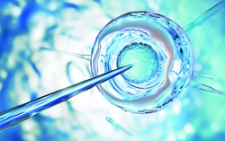 Giải pháp "trẻ hóa" trứng ở phụ nữ