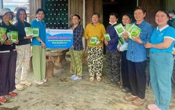 “Trao hạt giống - Gieo niềm hy vọng” tiếp sức phụ nữ vươn lên ổn định cuộc sống