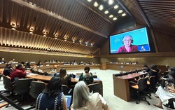 Luật pháp ngày càng tiến bộ nhưng nhiều phụ nữ vẫn khó tiếp cận công lý