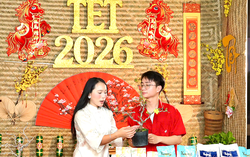 TPHCM: Đưa sắc mai Bình Lợi lên sóng livestream khi Tết cận kề