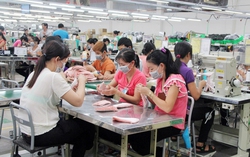 Cục Thống kê: Gần 24,2 nghìn doanh nghiệp thành lập mới trong tháng 1