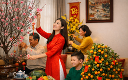 Người dân chơi hoa Tết sớm