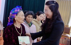 Tăng cường thúc đẩy sự tham gia của phụ nữ vào cơ quan dân cử