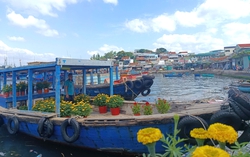 Chở mùa xuân từ đất liền ra đảo