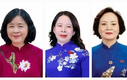 Các nữ Ủy viên Bộ Chính trị, Bí thư TƯ Đảng, Ủy viên TƯ Đảng ứng cử đại biểu Quốc hội khóa XVI
