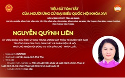 Bà Nguyễn Quỳnh Liên ứng cử đại biểu Quốc hội khóa XVI tại Đơn vị bầu cử số 7, tỉnh An Giang