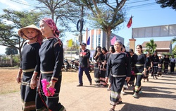 Đắk Lắk: 1 ứng cử viên đại biểu Quốc hội khóa XVI thuộc UBTƯ MTTQ Việt Nam