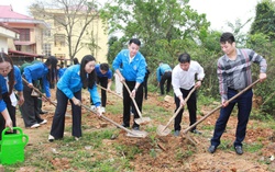 Lạng Sơn: Khởi động "Tháng thanh niên" 2026 và hưởng ứng Tết trồng cây xuân Bính Ngọ