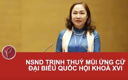 NSND Trịnh Thúy Mùi ứng cử đại biểu Quốc hội khóa XVI