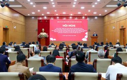 Tinh gọn và nâng cao hiệu quả hoạt động các Hội quần chúng do Đảng, Nhà nước giao nhiệm vụ