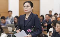 5 người tự ứng cử đại biểu Quốc hội khóa XVI là ai?