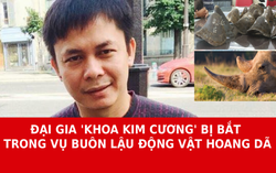 "Đại gia kim cương" Chu Đăng Khoa bị bắt trong vụ buôn lậu động vật hoang dã