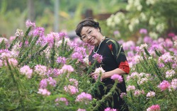 Phan Thị Thanh Nhàn: Tuổi 83 vẫn dạt dào hồn thơ 