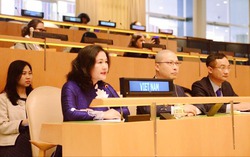 Việt Nam cam kết thúc đẩy quyền tiếp cận công lý của phụ nữ tại Liên hợp quốc