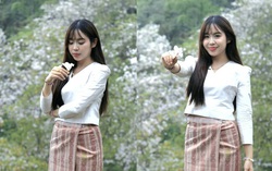 Điện Biên: Rừng ban cổ thụ bung nở hút giới trẻ đến "săn" ảnh