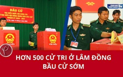 Hơn 500 cử tri tại Lâm Đồng đi bầu cử sớm