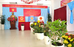 TPHCM: Ấn tượng các "điểm bầu cử xanh"