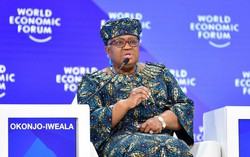 WTO: Thương mại toàn cầu đối mặt khủng hoảng nghiêm trọng nhất trong 80 năm qua