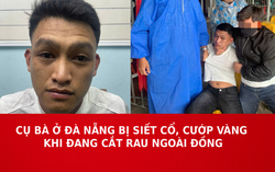 Cụ bà ở Đà Nẵng bị siết cổ, cướp vàng khi đang cắt rau ngoài đồng