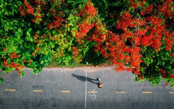 Nghỉ lễ 30/4: Khách Việt ưu tiên xuất ngoại gần với những trải nghiệm lạ, thú vị