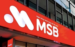 MSB thu giữ nhà máy sản xuất sợi dệt của Công ty An Phước