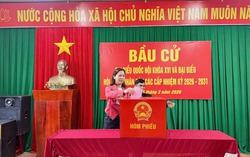 62 người trúng cử Đại biểu HĐND tỉnh Quảng Trị