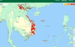 Nắng nóng diện rộng, các địa phương chủ động ứng phó nguy cơ cháy rừng cao