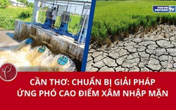 Cần Thơ: Chuẩn bị giải pháp ứng phó cao điểm xâm nhập mặn