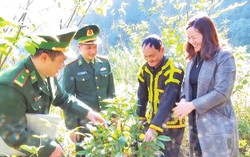 Phụ nữ xứ Lạng góp phần xây dựng, bảo vệ biên cương